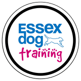 Essex Dog Training Club