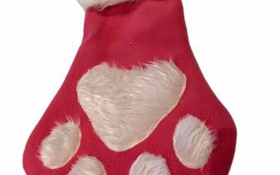 Pawfect Christmas Stockings – Christmas Collection™